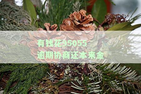 有钱花协商只还本金，如何进行有效协商：只归还本金的有钱花还款策略