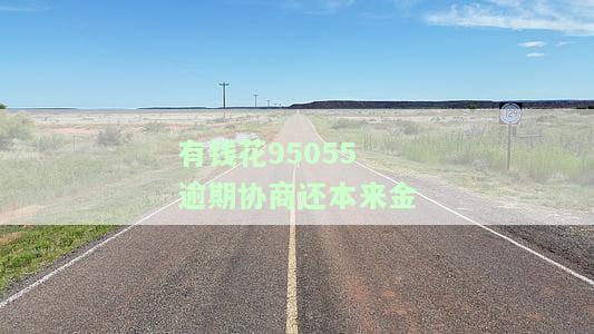 有钱花能协商期吗，协商解决：有钱花能否期还款？