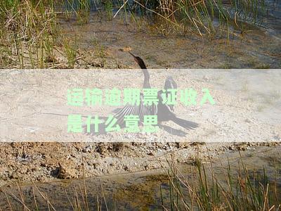 航空运输逾期票证收入是否征收增值税？——航空运输企业的疑问解答