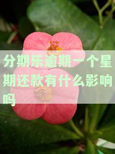 分期乐逾期一个月还款有何影响？逾期多少金额会立案？后果严重吗？