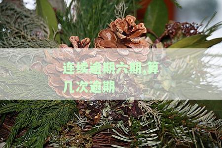 连续逾期六期,算几次逾期了，关于逾期：连续逾期六期，算是几次逾期呢？