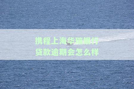 求助：携程上海华瑞银行贷款无法偿还，应该如何解决？