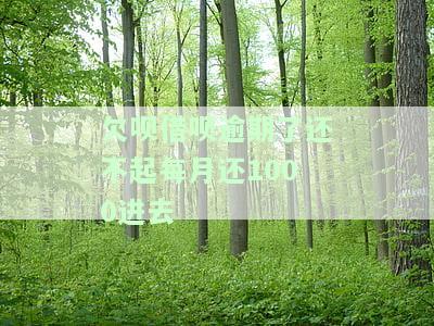 欠呗借呗逾期了还不起每月还1000进去-借呗逾期每月还几千会被起诉不