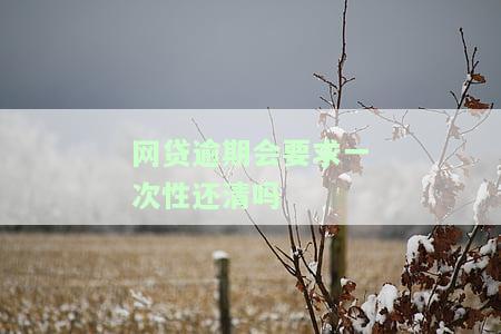 逾期让一次性结清怎么办，如何应对逾期催收要求一次性结清？