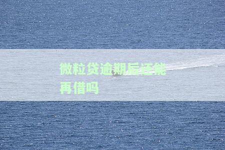 微粒贷逾期后还款再借，有何影响？