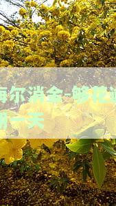 海尔消金-够花逾期一天会不会上征信，海尔消金-够花：逾期一天是否会上征信？