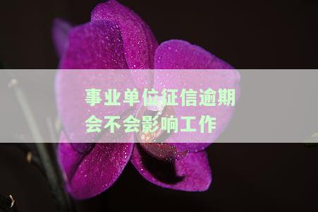 事业编逾期征信：影响及后果解析