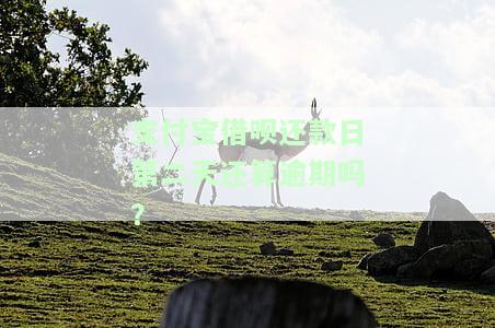 支付宝借呗还款日第二天算逾期吗？解决方案分享