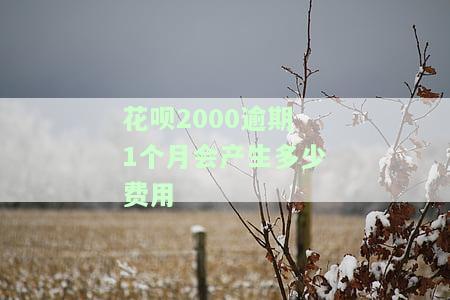 花呗两千块逾期两个月会产生多少罚款？