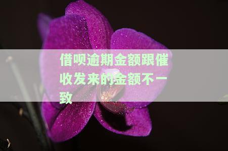 借呗逾期金额与催收发来的金额不，如何处理？
