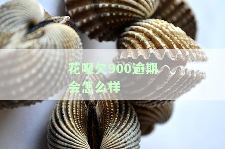 花呗欠900逾期会怎么样啊，警惕！花呗欠款900元逾期会产生哪些后果？