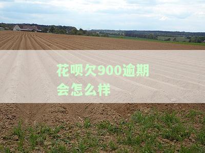 9千花呗逾期两天利息计算方法及正常围