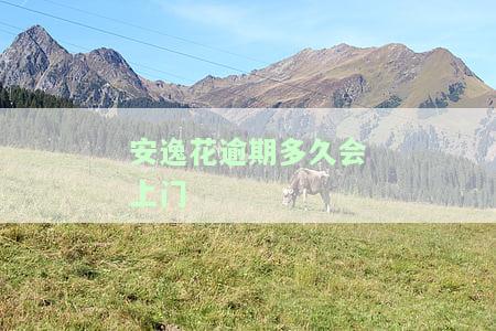 安逸花逾期多少天会起诉？已还款2000多，现在该如何处理？