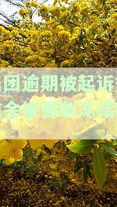 美团逾期被起诉后，微信是否会强制冻结？安全风险如何？