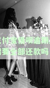 支付宝借呗逾期后如何全额还款？操作指南