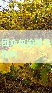 美团众包是否会被罚款？如何处理可能产生的罚单？