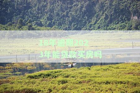 18年逾期2023年能贷款买房吗请问，18年的逾期记录到2023年能否申请房贷？