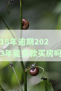 18年逾期2023年能贷款买房吗