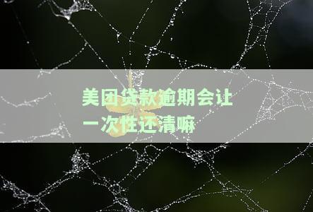 美团贷款逾期会让一次性还清嘛，美团贷款逾期处理方式：是否需要一次性还清？