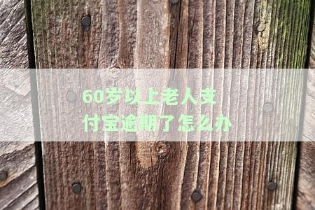 60岁老人能否在支付宝上借款？安全性如何？操作方法是什么？