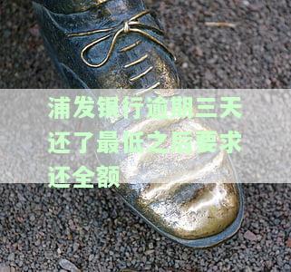 浦发银行逾期两天只还最低还款可行吗？逾期一天、三天后分别应如何还款？