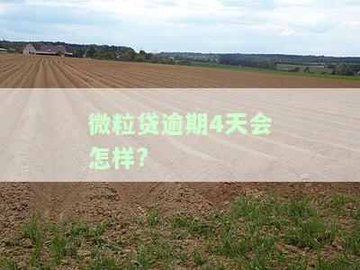 微粒贷逾期四天，影响借款吗？