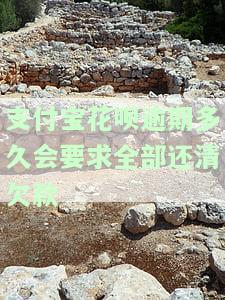 支付宝花呗逾期多少天没事？了解不同情况下的影响！