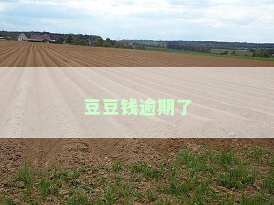 豆豆钱逾期了会给紧急联系人打电话吗，警惕！豆豆钱逾期可能给紧急联系人打电话，你了解逾期的后果吗？
