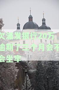 欠浦发银行20万逾期三个月会坐牢吗？