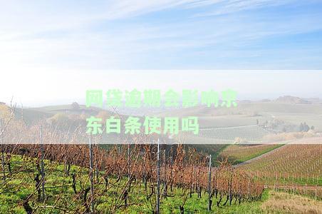 网贷逾期会影响信用卡吗，网贷逾期是否会影响信用卡？你需要了解的真相