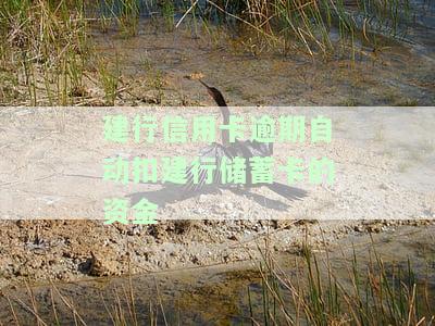 建行信用卡逾期自动扣建行蓄卡的资金怎么办，建行信用卡逾期自动扣款至蓄卡，如何处理？