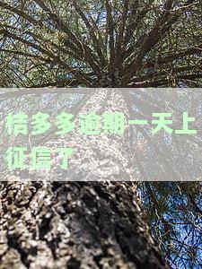 桔多多逾期一天上征信了