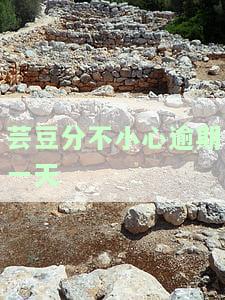 芸豆分逾期后还款，能否再次借款？
