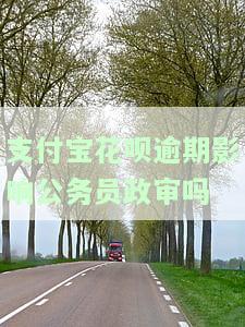 支付宝花呗逾期是否会影响公务员政审？解决方案是什么？