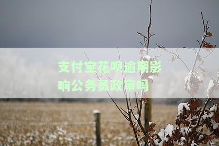 支付宝花呗逾期会影响公务员政审吗，支付宝花呗逾期是否会影响公务员政审？