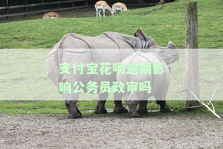 支付宝花呗逾期了会影响当兵吗，支付宝花呗逾期是否会影响当兵？