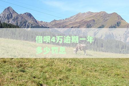 借呗逾期四万五，是否算大金额？如何处理？知乎上有什么建议？