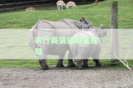 农行商贷逾期宽限期
