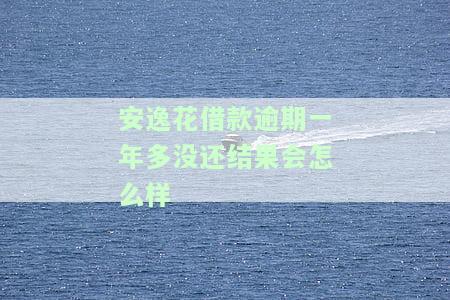 安逸花欠款一年未还会有什么后果？逾期一年5000多元是否会被起诉？