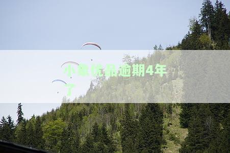 小象优品逾期过后,还可以再次借款吗，小象优品：逾期后还有机会再借吗？