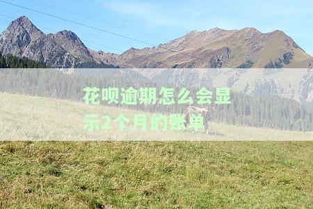 花呗逾期怎么会显示2个月的账单记录，解答疑惑：花呗逾期为何会显示两个月的账单记录？
