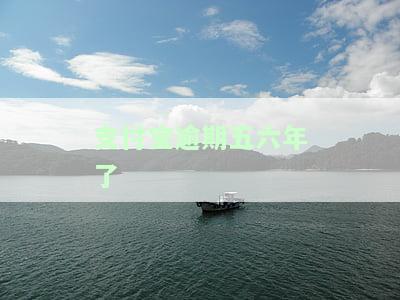 支付宝逾期五六年了怎么办，长期逾期未还的支付宝账单，应该如何处理？