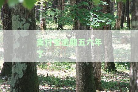 支付宝逾期五六年了还能用吗，支付宝逾期五六年，账户还能正常使用吗？