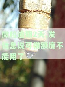 微粒贷逾期一天：短信提示额度无法使用，如何解决？