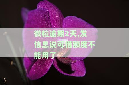微粒贷逾期1天发信息说可借额度不能使用是什么意思，微粒贷逾期1天后，收到提示信息称可借额度无法使用，有何含义？