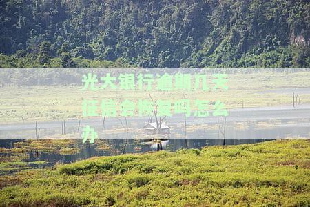 光大逾期几天会上个人征信，理解个人信用：光大银行信用卡逾期几天会影响您的征信记录？