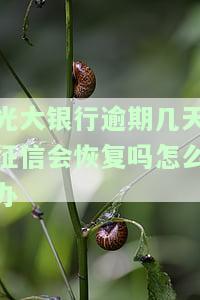 光大逾期几天,还进去还能正常使用吗，光大信用卡逾期几天还款，卡片能否继续正常使用？