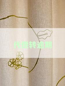 代偿逾期是什么意思？详解其含义与影响