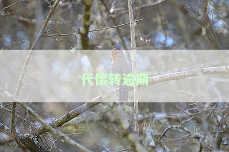 代偿逾期的性质，深入了解代偿逾期：性质、影响与解决方案