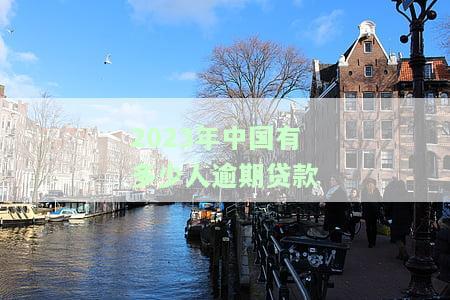 2020年中国逾期人数及贷款情况概览